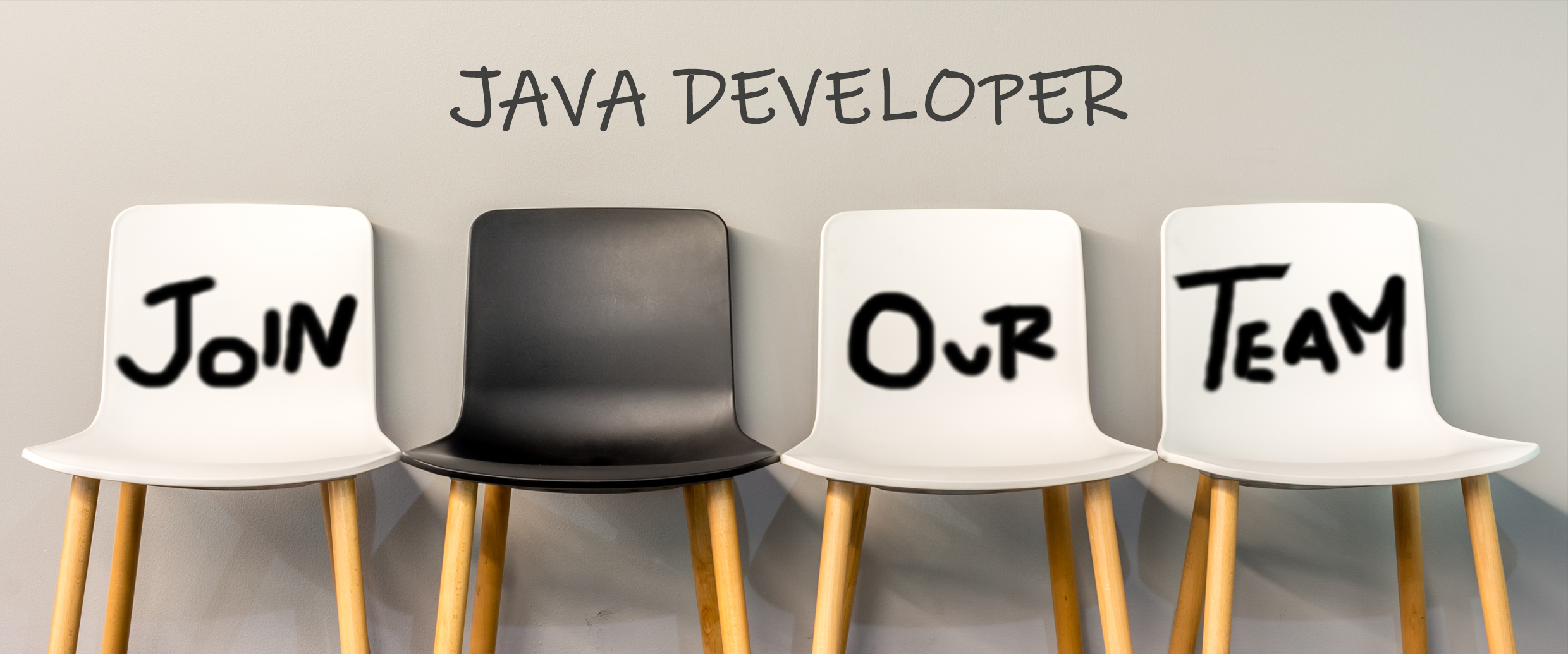 Java Developer at NetVizura